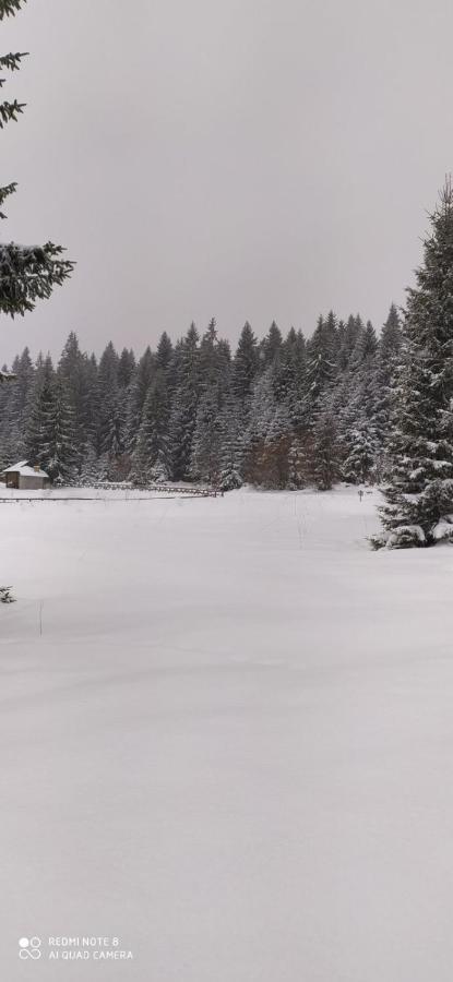 Vila Balerina Mitrovac Luaran gambar